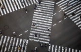 GINZA ZEBRAS oversized wool scarf